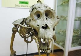 Иллюстрация к книге — Travel-журналистика. Путешествуйте и зарабатывайте [i_082.jpg]