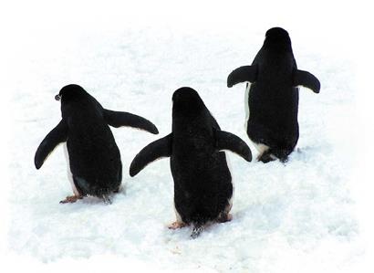 Иллюстрация к книге — Travel-журналистика. Путешествуйте и зарабатывайте [i_094.jpg]