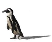 Иллюстрация к книге — Travel-журналистика. Путешествуйте и зарабатывайте [i_095.jpg]