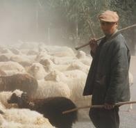 Иллюстрация к книге — Travel-журналистика. Путешествуйте и зарабатывайте [i_137.jpg]