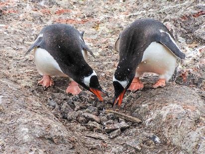 Иллюстрация к книге — Travel-журналистика. Путешествуйте и зарабатывайте [i_153.jpg]