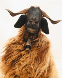 Иллюстрация к книге — Travel-журналистика. Путешествуйте и зарабатывайте [i_170.jpg]