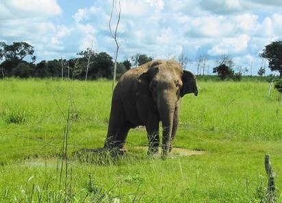 Иллюстрация к книге — Travel-журналистика. Путешествуйте и зарабатывайте [i_190.jpg]