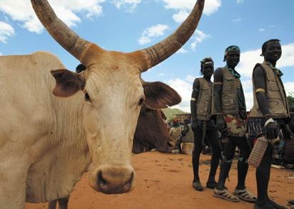 Иллюстрация к книге — Travel-журналистика. Путешествуйте и зарабатывайте [i_191.jpg]