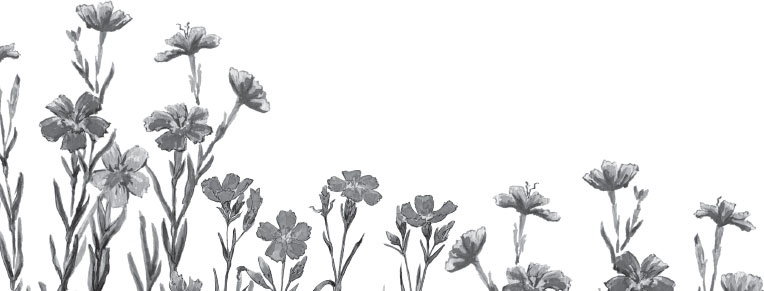 Иллюстрация к книге — Спор животных. С вопросами и ответами для почемучек [i_003.jpg]