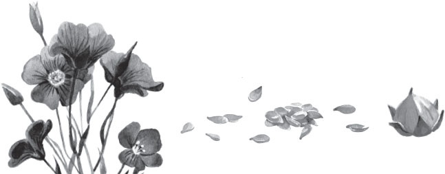 Иллюстрация к книге — Спор животных. С вопросами и ответами для почемучек [i_005.jpg]