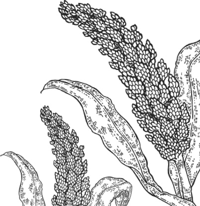 Иллюстрация к книге — Спор животных. С вопросами и ответами для почемучек [i_008.jpg]