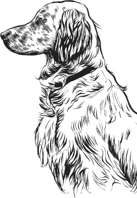 Иллюстрация к книге — Спор животных. С вопросами и ответами для почемучек [i_010.jpg]