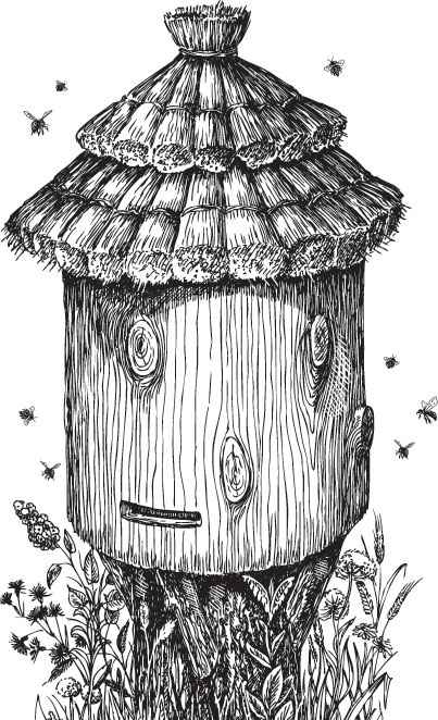 Иллюстрация к книге — Спор животных. С вопросами и ответами для почемучек [i_016.jpg]