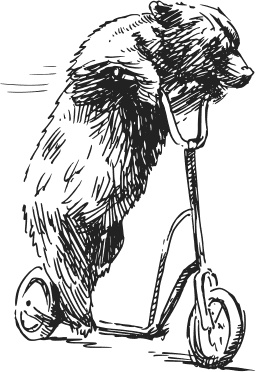 Иллюстрация к книге — Спор животных. С вопросами и ответами для почемучек [i_020.jpg]