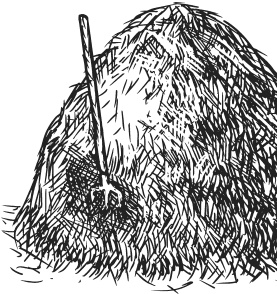 Иллюстрация к книге — Спор животных. С вопросами и ответами для почемучек [i_026.jpg]