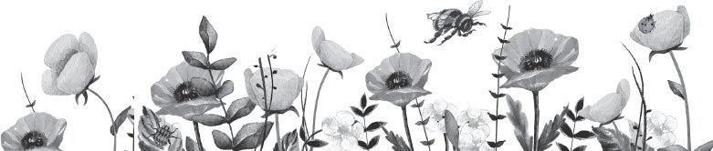 Иллюстрация к книге — Спор животных. С вопросами и ответами для почемучек [i_027.jpg]