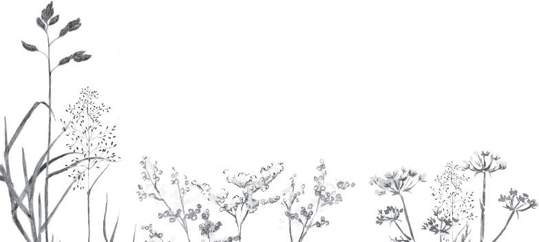 Иллюстрация к книге — Спор животных. С вопросами и ответами для почемучек [i_059.jpg]