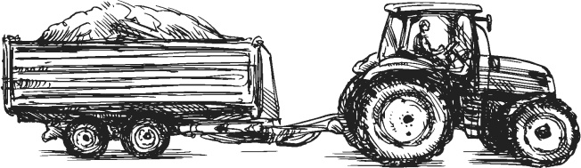 Иллюстрация к книге — Спор животных. С вопросами и ответами для почемучек [i_061.jpg]