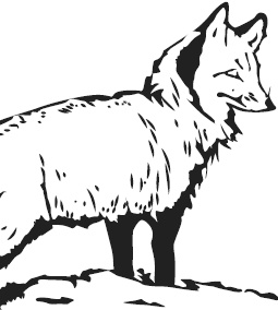 Иллюстрация к книге — Спор животных. С вопросами и ответами для почемучек [i_071.jpg]