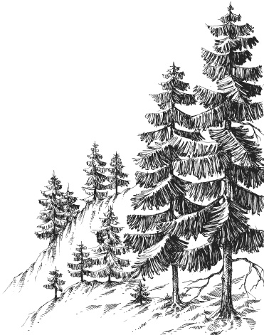 Иллюстрация к книге — Спор животных. С вопросами и ответами для почемучек [i_072.jpg]