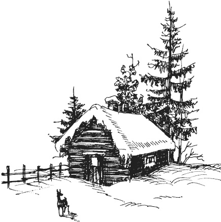 Иллюстрация к книге — Спор животных. С вопросами и ответами для почемучек [i_074.jpg]