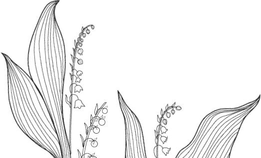 Иллюстрация к книге — Спор животных. С вопросами и ответами для почемучек [i_080.jpg]