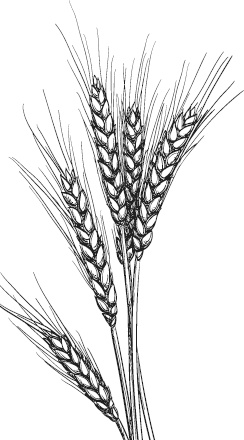 Иллюстрация к книге — Спор животных. С вопросами и ответами для почемучек [i_082.jpg]