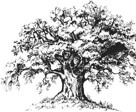 Иллюстрация к книге — Спор животных. С вопросами и ответами для почемучек [i_085.jpg]