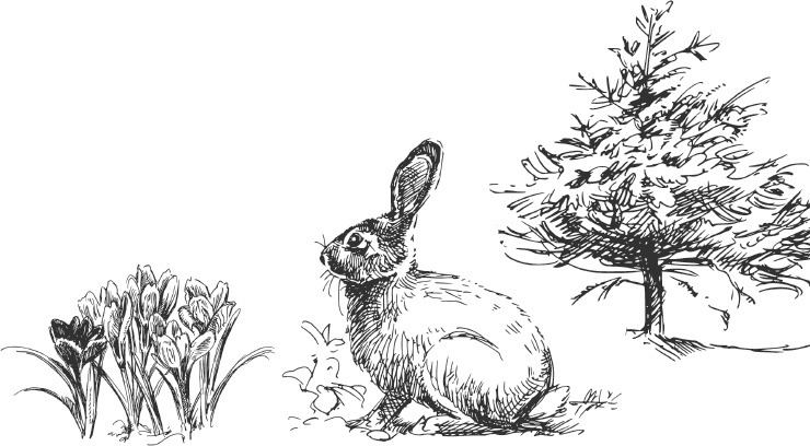 Иллюстрация к книге — Спор животных. С вопросами и ответами для почемучек [i_092.jpg]