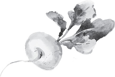 Иллюстрация к книге — Спор животных. С вопросами и ответами для почемучек [i_098.jpg]