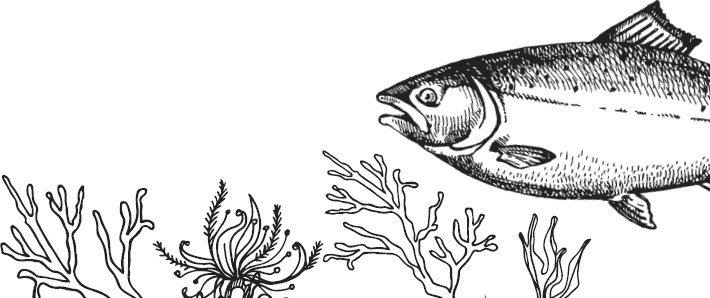 Иллюстрация к книге — Спор животных. С вопросами и ответами для почемучек [i_099.jpg]