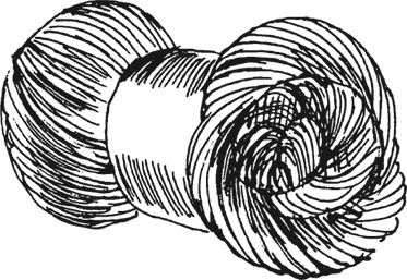 Иллюстрация к книге — Спор животных. С вопросами и ответами для почемучек [i_105.jpg]