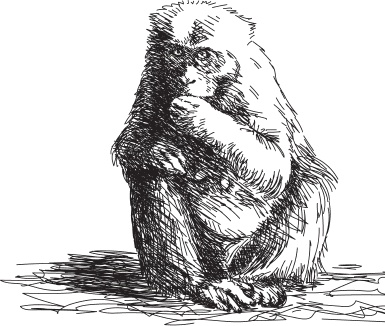 Иллюстрация к книге — Беспризорная кошка (сборник). С вопросами и ответами для почемучек [_10.jpg]