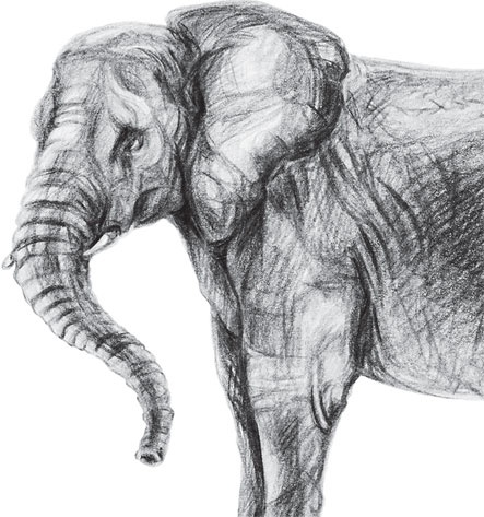 Иллюстрация к книге — Беспризорная кошка (сборник). С вопросами и ответами для почемучек [_13.jpg]