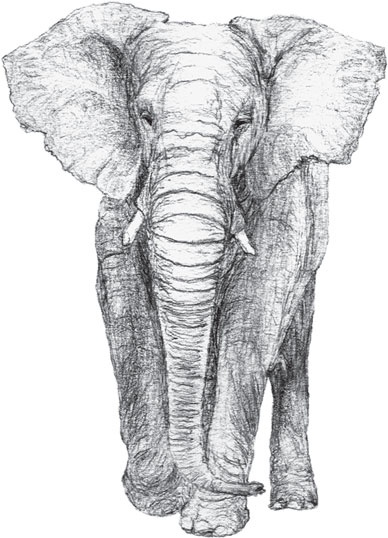 Иллюстрация к книге — Беспризорная кошка (сборник). С вопросами и ответами для почемучек [_15.jpg]