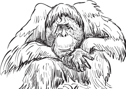 Иллюстрация к книге — Беспризорная кошка (сборник). С вопросами и ответами для почемучек [_17.jpg]