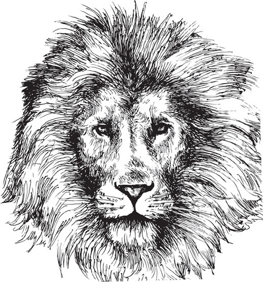 Иллюстрация к книге — Беспризорная кошка (сборник). С вопросами и ответами для почемучек [_20.jpg]