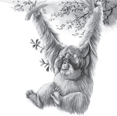 Иллюстрация к книге — Беспризорная кошка (сборник). С вопросами и ответами для почемучек [_25.jpg]