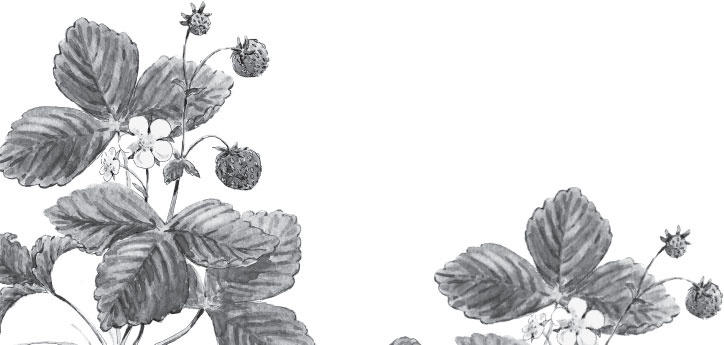 Иллюстрация к книге — Беспризорная кошка (сборник). С вопросами и ответами для почемучек [_28.jpg]