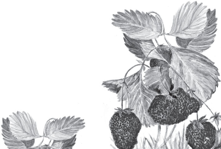 Иллюстрация к книге — Беспризорная кошка (сборник). С вопросами и ответами для почемучек [_29.jpg]