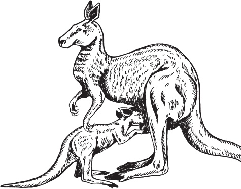 Иллюстрация к книге — Беспризорная кошка (сборник). С вопросами и ответами для почемучек [_31.jpg]