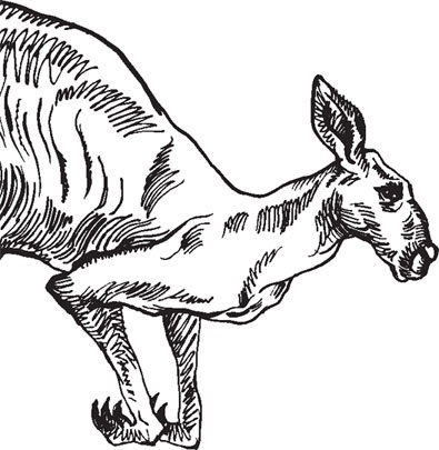 Иллюстрация к книге — Беспризорная кошка (сборник). С вопросами и ответами для почемучек [_32.jpg]