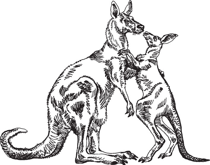 Иллюстрация к книге — Беспризорная кошка (сборник). С вопросами и ответами для почемучек [_33.jpg]