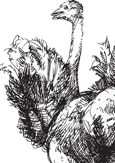 Иллюстрация к книге — Беспризорная кошка (сборник). С вопросами и ответами для почемучек [_35.jpg]