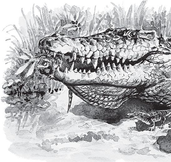 Иллюстрация к книге — Беспризорная кошка (сборник). С вопросами и ответами для почемучек [_38.jpg]