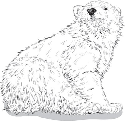 Иллюстрация к книге — Беспризорная кошка (сборник). С вопросами и ответами для почемучек [_39.jpg]