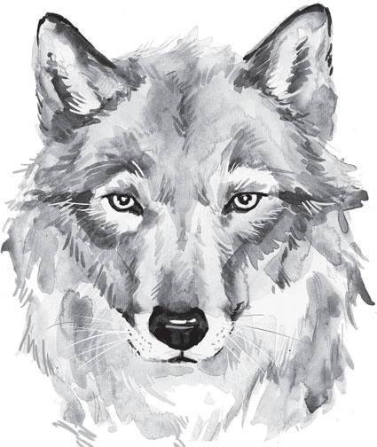 Иллюстрация к книге — Беспризорная кошка (сборник). С вопросами и ответами для почемучек [_40.jpg]