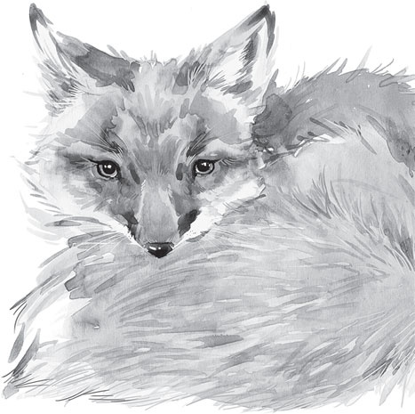 Иллюстрация к книге — Беспризорная кошка (сборник). С вопросами и ответами для почемучек [_41.jpg]