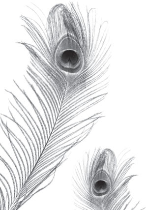 Иллюстрация к книге — Беспризорная кошка (сборник). С вопросами и ответами для почемучек [_42.jpg]