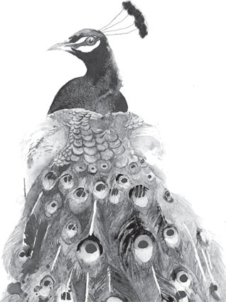 Иллюстрация к книге — Беспризорная кошка (сборник). С вопросами и ответами для почемучек [_43.jpg]