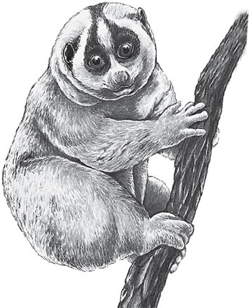 Иллюстрация к книге — Беспризорная кошка (сборник). С вопросами и ответами для почемучек [_49.jpg]