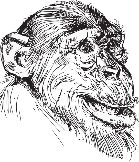 Иллюстрация к книге — Беспризорная кошка (сборник). С вопросами и ответами для почемучек [_51.jpg]