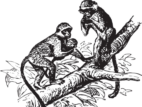 Иллюстрация к книге — Беспризорная кошка (сборник). С вопросами и ответами для почемучек [_54.jpg]