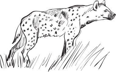 Иллюстрация к книге — Беспризорная кошка (сборник). С вопросами и ответами для почемучек [_62.jpg]